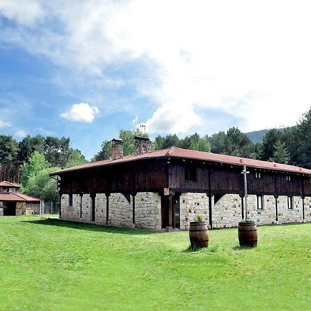 La Cabana De Sara Vinuesa Exterior photo
